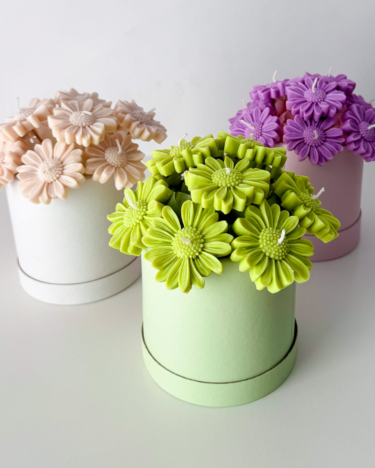 VELAS NORDIC BOX
