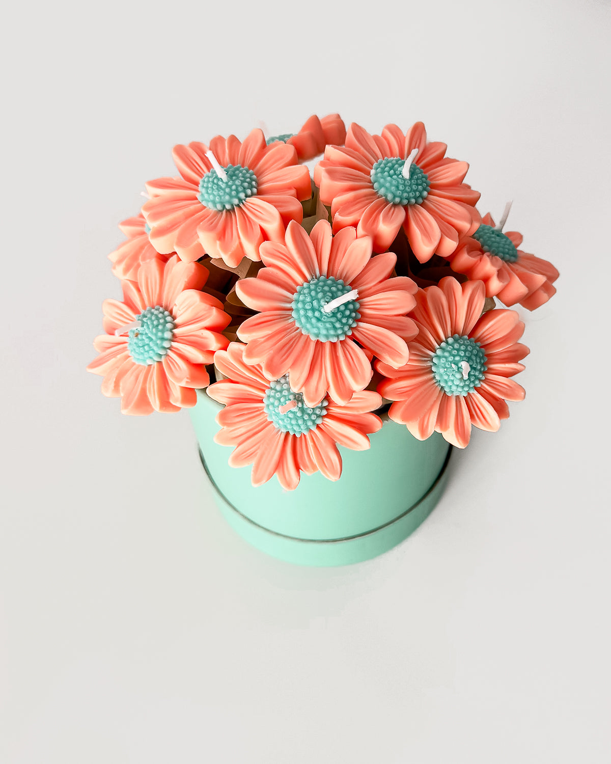 VELAS NORDIC BOX